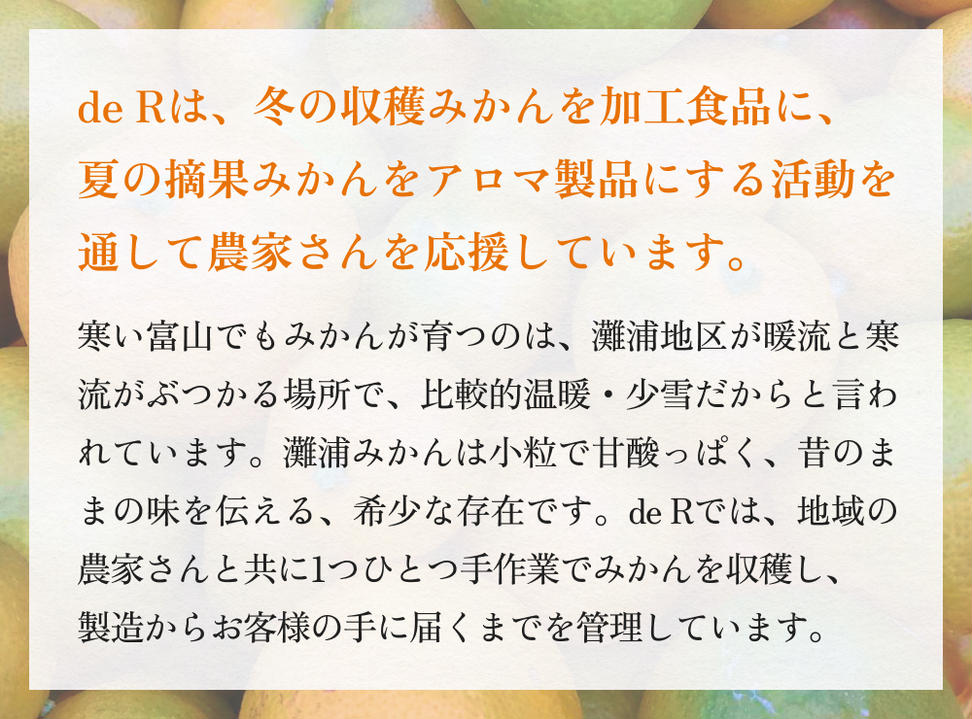 すっきりした味わいの灘浦みかん果汁100％飲料10本セット 