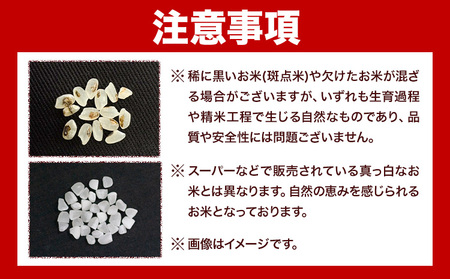 令和7年産 池山名水米 コシヒカリ 白米 精米 5kg フォーシーズン産山村