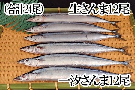【北海道根室産】一汐さんま6尾入×2P、生さんま6尾入×2P A-14210