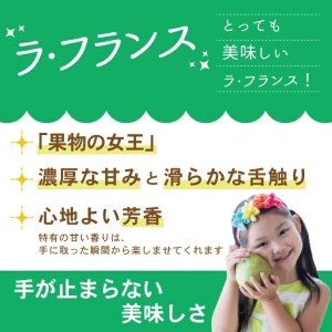 SA2077　酒田のラ・フランス　約3kg