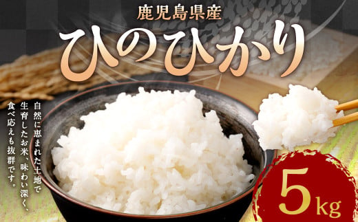 AS-186 【KODAMAFARMS】鹿児島県産 ひのひかり 5kg 【2025年10月中旬以降順次発送】 米 新米 精米 白米 お米