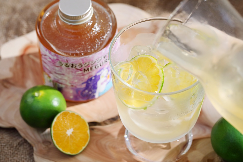 薬膳工房あすごはん　　 うるおうクラフトコーラMEGURO &うるおうジンジャーMEGURO セット（希釈シロップ）