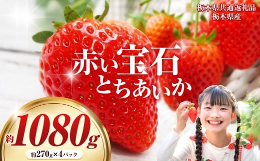 【栃木県共通返礼品】赤い宝石「とちあいか」約270g×4P |選べる いちご 苺 とちあいか 栃木県 那珂川町 送料無料 デザート ご褒美 美味しい 甘い フルーツ ジューシー 送料無料