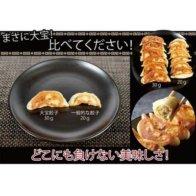 ふるさと納税 横浜市 もちもち国産ジャンボ大宝餃子30個ともちもち水餃子40個 |  | 02
