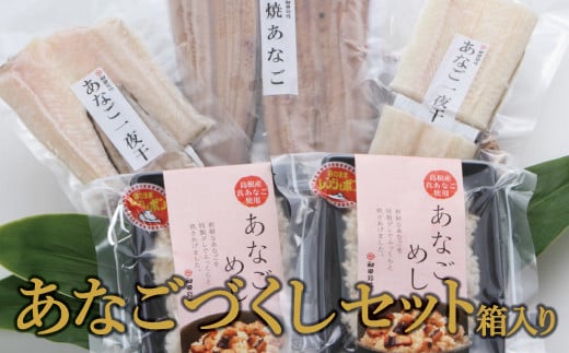 贈答にも最適！あなごづくしセット（箱入り）【穴子 冷凍 焼きあなご 1尾 120g 干物 2袋 あなごめし 150g 2袋 あなご アナゴ 一夜干し 一夜干 ふっくら 肉厚 新鮮 大きい 父の日 母の日】