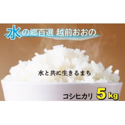 ふるさと納税 大野市 【令和7年産】こしひかり(福井県大野市産)エコファーマー米(白米)5kg