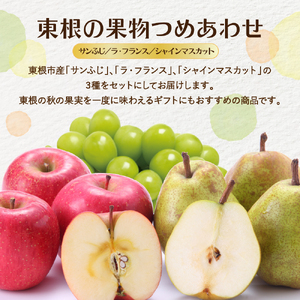 【東根秋果実満喫セット】サンふじ＆ラフ＆シャイン約2.5kg 山形県 東根市 東根農産センター提供 hi027-202-1 りんご サンふじ ラフランス 洋梨 洋ナシ シャインマスカット ぶどう フル