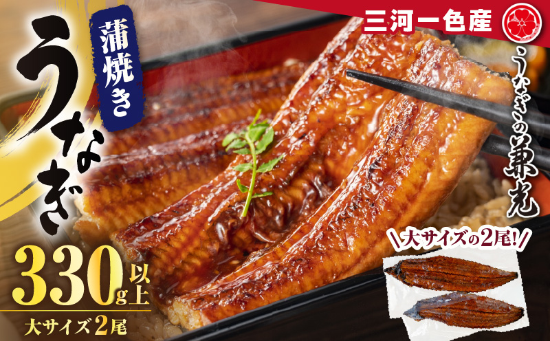 三河一色産 うなぎ 蒲焼《大サイズ》2尾（計330g以上） 国産 鰻 愛知・U023-13