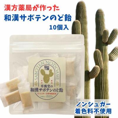 ふるさと納税 小牧市 和漢サボテンのど飴　2袋　[103S13]