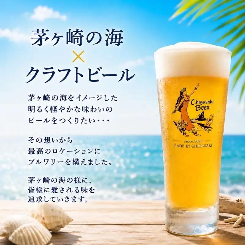 クラフトビール 茅ヶ崎ビール Weizen 瓶入り クラフトビール【12本セット】