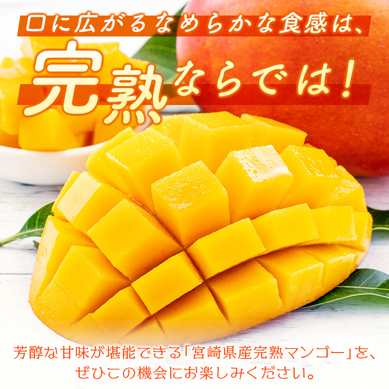 ＜数量限定＞宮崎県産 完熟マンゴー4L×2玉（計1kg以上）※2027年4月下旬配送開始 化粧箱入 フルーツ くだもの【C357-27】_イメージ3