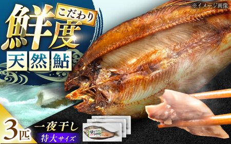 天然あゆの一夜干し 特大 3匹セット [AUFS003]天然鮎天然鮎天然鮎天然鮎天然鮎