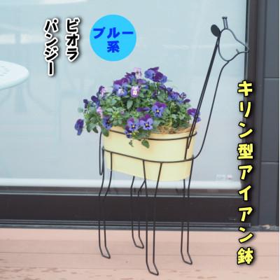 ふるさと納税 朝倉市 キリン型のアイアン鉢　ビオラ・パンジーの寄せ植え |  | 01