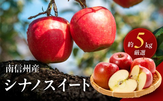 南信州産 りんご シナノスイート 約5kg 【2026年9月下旬～10月下旬発送】 | 果物 くだもの フルーツ シナノスイート 林檎 りんご リンゴ 信濃 新鮮 長野県 信州 南信州 飯田市