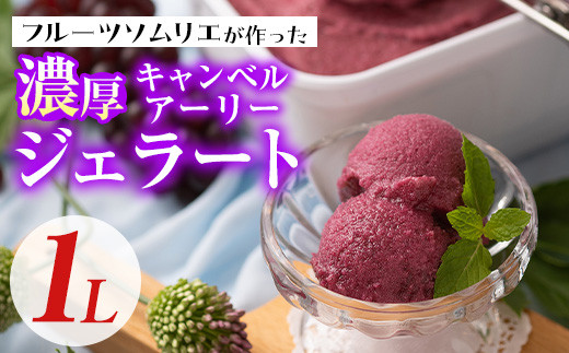 フルーツソムリエが作った濃厚キャンベルアーリージェラート 業務用 (1L) ぶどう 葡萄 アイス アイスクリーム 手作り スイーツ お土産 ＜離島配送不可＞【ksg0051】【南国フルーツ】