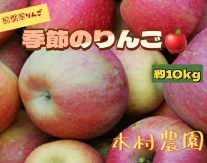 【ふるさと納税】りんご 10kg ｜ さんさ あかぎ 陽光 ぐんま名月 ふじ リンゴ 旬 甘い ジューシー お取り寄せ ご当地 特産 産地直送 果物 フルーツ 季節 秋 冬 デザート おやつ 林檎 アップル 10キロ 2025年産 令和7年産 群馬 前橋