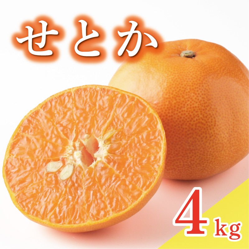 
                  ちびっこ せとか みかん 高級品種【農家直送】＜薄皮ごと食べられる／濃厚な甘み／果汁たっぷり＞ 小玉S 4kg8000円 清見 アンコール マーコット の掛け合わせ ミカン 蜜柑 柑橘 国産 フルーツ 果物 ギフト プレゼント 愛媛 愛南町 みかんの山祥
                