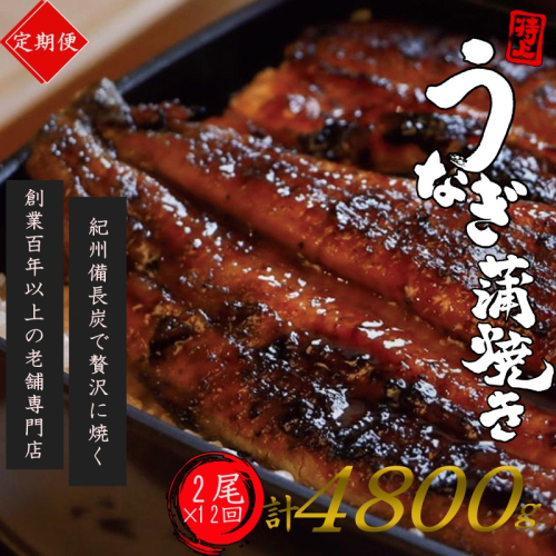 【全12回定期便】極上！国産うなぎ蒲焼 2尾×12回 計24尾 約4800g 創業100年以上続く老舗 紀州備長炭でじっくり焼き上げた専門店の味 （タレ・山椒付き）/ うなぎ ウナギ 鰻 蒲焼 国産 ふるさと納税【tkb320】
