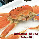 【ふるさと納税】 カニ 隠岐 松葉カニ 松葉ガニ 計1kg 500g×2杯 ボイル 蟹 かに