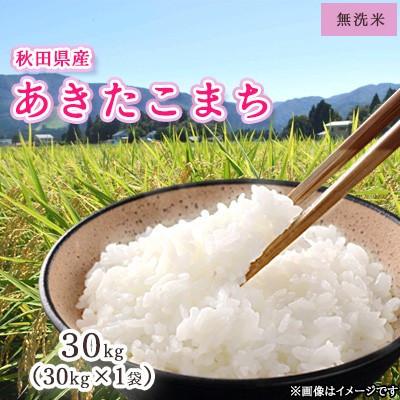 ふるさと納税 大仙市 令和7年産　秋田県産あきたこまち　無洗米30kg×1袋