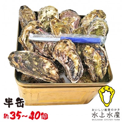 能登のかき　半缶ガンガン焼き(約35～40個・ナイフ付)【配送不可地域：離島・北海道・沖縄】【1394429】