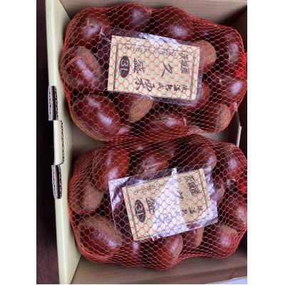 ふるさと納税 かすみがうら市 かすみがうら市産 熟成栗3L　2kg |  | 01