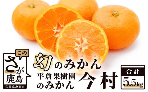 B-345【まぼろしのみかん】鹿島 平倉果樹園の今村みかん 約５.５ｋｇ サイズ混合 (2025年2月上旬から2月末まで発送)