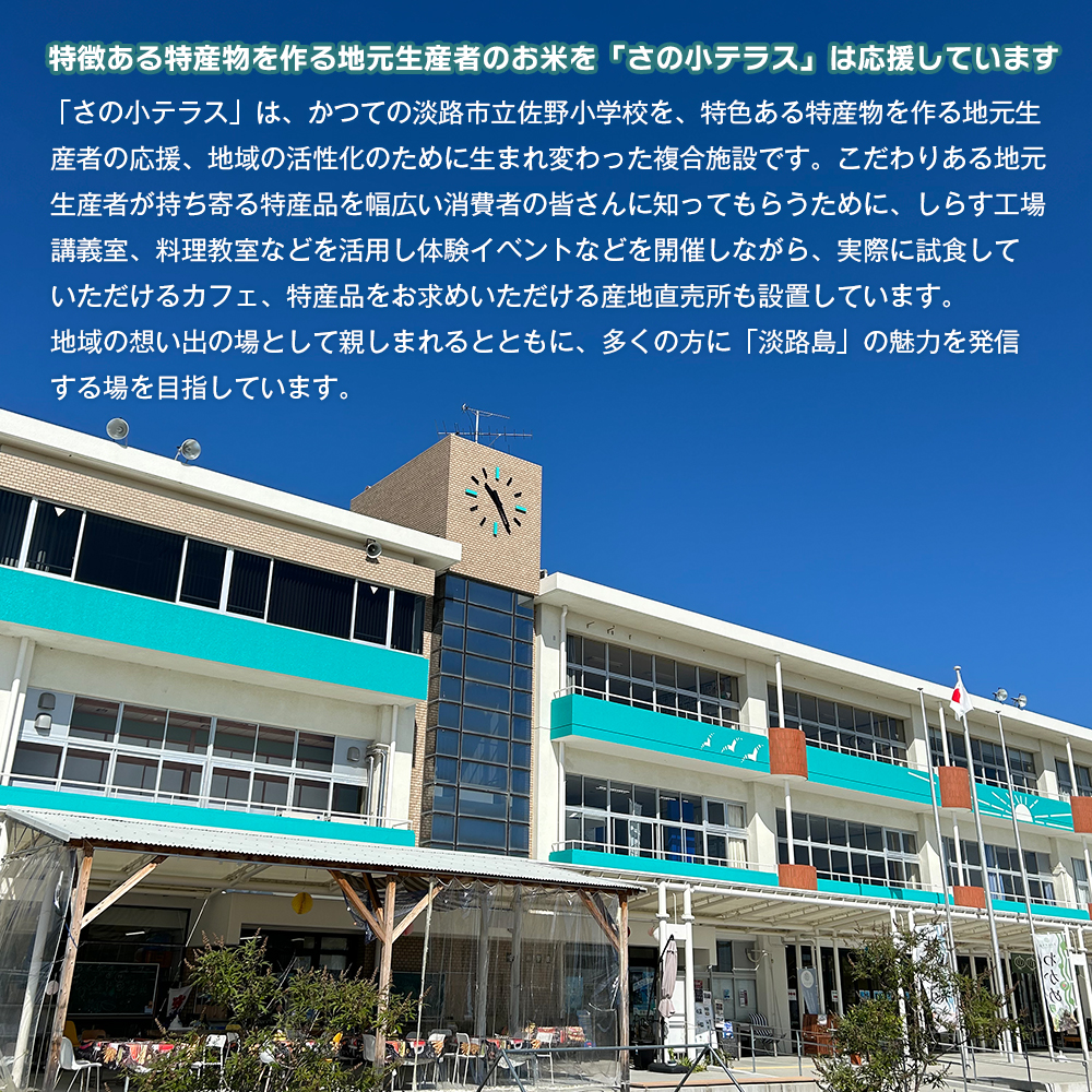 令和７年度 淡路島産キヌヒカリ 5kg （白米）