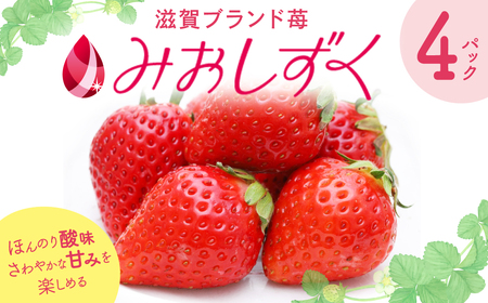 いちご （みおしずく） ２箱 （４パック 入り ） 苺 みおしずく ブランド苺 いちご イチゴ 果物 フルーツ A-B26 株式会社東近江あぐりステーション