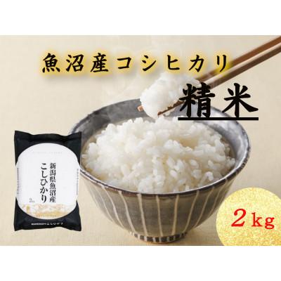 ふるさと納税 十日町市 魚沼産コシヒカリ　2kg×1
