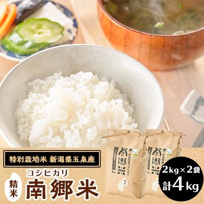 ふるさと納税 五泉市 【2ヵ月毎定期便】[隔月3回定期便]特別栽培米コシヒカリ100%「南郷米」精米 4kg全3回