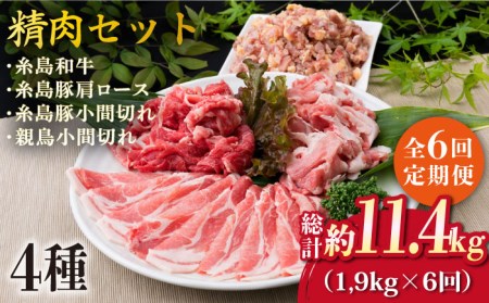【全6回定期便】牛肉 豚肉 鶏肉 日常使いの精肉セット 1,930g 4-5人前 4種 糸島市/糸島ミートデリ工房[ACA198]