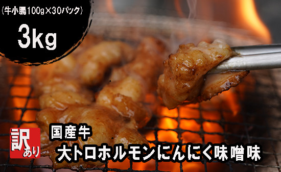 
                  【 訳あり 】 国産牛 大トロホルモン にんにく味噌味 3kg （100gパック） 小分け ニンニク ガーリック 味噌味 ホルモン 焼き 焼肉 味付 小分け 冷凍 味噌だれ 不揃い 焼き肉 炒め物 国産 牛 肉 京都府 舞鶴市 幸福亭
                