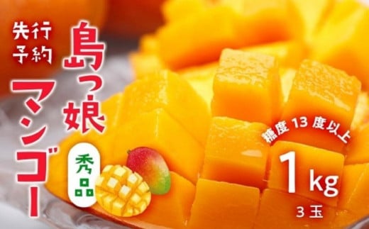 与論島産　島っ娘マンゴー（秀品）1kg　2～3玉　糖度13度以上【先行予約：2025年7月上旬以降発送】| 果物 フルーツ マンゴー 1kg 人気 甘い おすすめ おすすめフルーツ 期間限定 鹿児島県 与論町