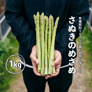 【2026年先行予約】 グリーンアスパラガス さぬきのめざめ 1kg アスパラ