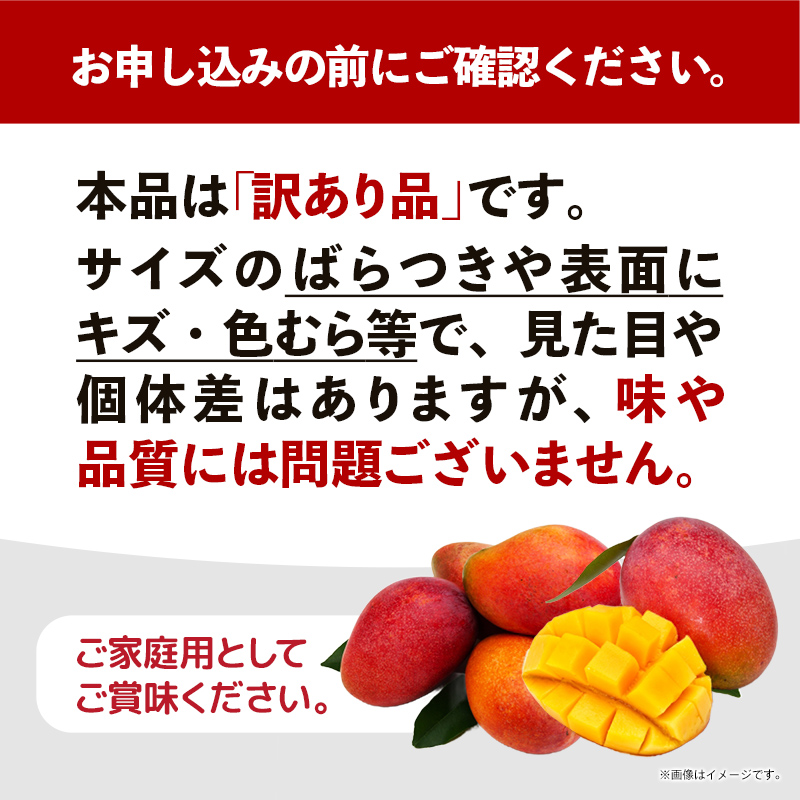 【先行受付】【2026年発送】城間マンゴー園のアップルマンゴー 訳あり 約1kg - 先行予約 沖縄県産 産地直送 南国フルーツ 旬の味覚 ご自宅用 訳アリ 家庭用 沖縄マンゴー 沖縄県 八重瀬町_イ