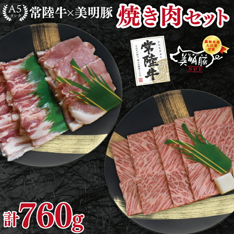 【ふるさと納税】【常陸牛 A5ランク・美明豚焼肉セット】常陸牛カルビ360g＋美明豚400g（ロース200g・ばら200g） 冷凍 国産牛 和牛 牛肉 豚肉　ブランド豚 茨城県 水戸市 食べ比べ セット商品 国産 BBQ 20000円以内 老舗精肉店 EK-23