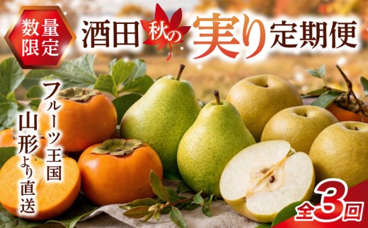 【3回定期便】 酒田から秋のフルーツ定期便 2026 8月下旬～10月中旬 刈屋梨 10月中旬～11月中旬 庄内柿 11月上旬～12月中旬 ラ・フランス ※着日指定不可 定期便 頒布会 果物 くだもの フルーツ なし ナシ かき カキ 種無し 東北 山形県 酒田市 庄内 秋 旬 元青果 SE0478