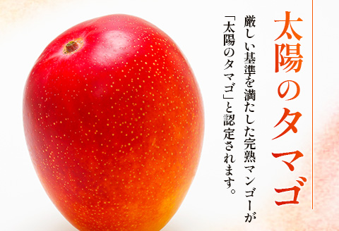 宮崎特産品　宮崎県産完熟マンゴー　太陽のタマゴ　2L×1個