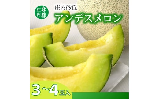 食の都庄内　プロの技！庄内砂丘アンデスメロン　※令和7年7月頃より順次配送予定