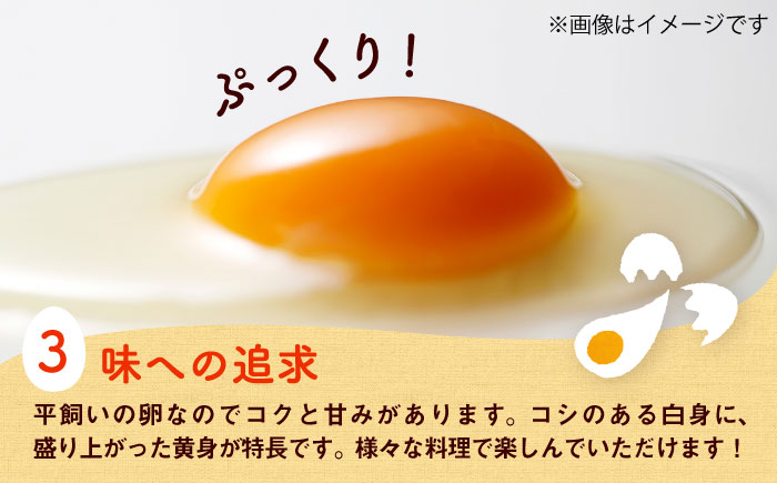 【全3回定期便】平飼い新鮮たまご 元気玉 計40個(10個×4パック) / 卵 ぷりぷり 新鮮 玉子 オムレツ たまごかけごはん 朝食 鶏卵 平飼い 濃厚 こく 熊本県 菊陽町【ぴよっこファーム】 [