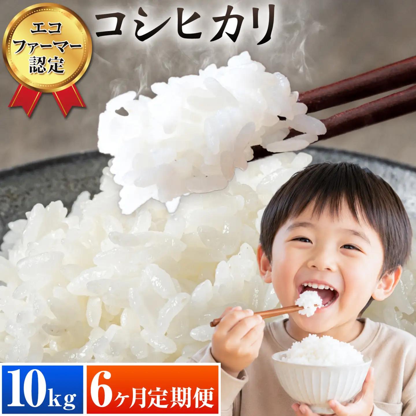 米 コシヒカリ 白米 10kg 6ヶ月 定期便 新宿営農組合 米