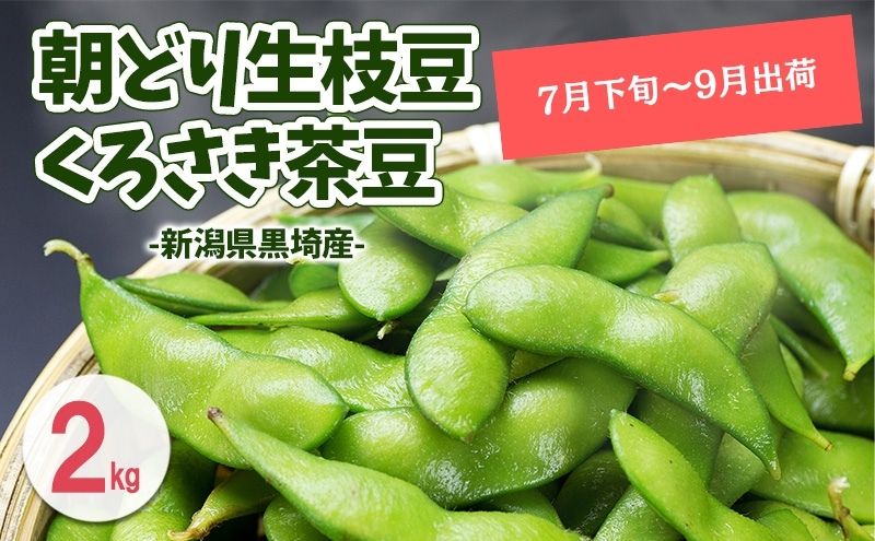 くろさき茶豆2kg  【7月下旬～9月下旬発送】 新潟県黒埼産 