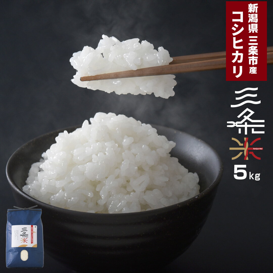 【ふるさと納税】新潟県三条市産 コシヒカリ 三条米 5kg 令和7年産 コシヒカリ 美味しいこしひかり 直前精米 アーネスト 【010S393】