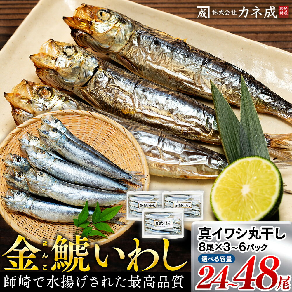 【ふるさと納税】 【最高品質】 いわし 丸干し 24~48尾 (8尾×3〜6p) 干物 冷凍 小分け ( ふるさと納税 干物 ふるさと納税 ひもの ふるさと納税 南知多 ふるさと納税 丸干し イワシ 鰯 節分 いわし カネ成 人気 おすすめ ) 愛知県 南知多町【配送不可地域：離島】