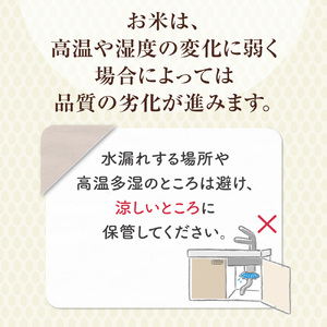 コシヒカリ 18kg（標準） 令和7年産 米 こしひかり 鳥取県 倉吉市産