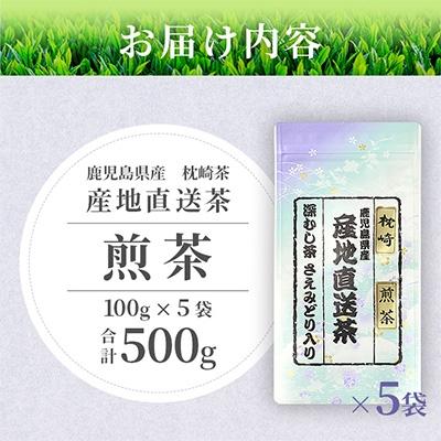 ふるさと納税 枕崎市 【 煎茶 】  ( 100g×5本 )  鹿児島県 枕崎産 大河内製茶 A3-212 |  | 02