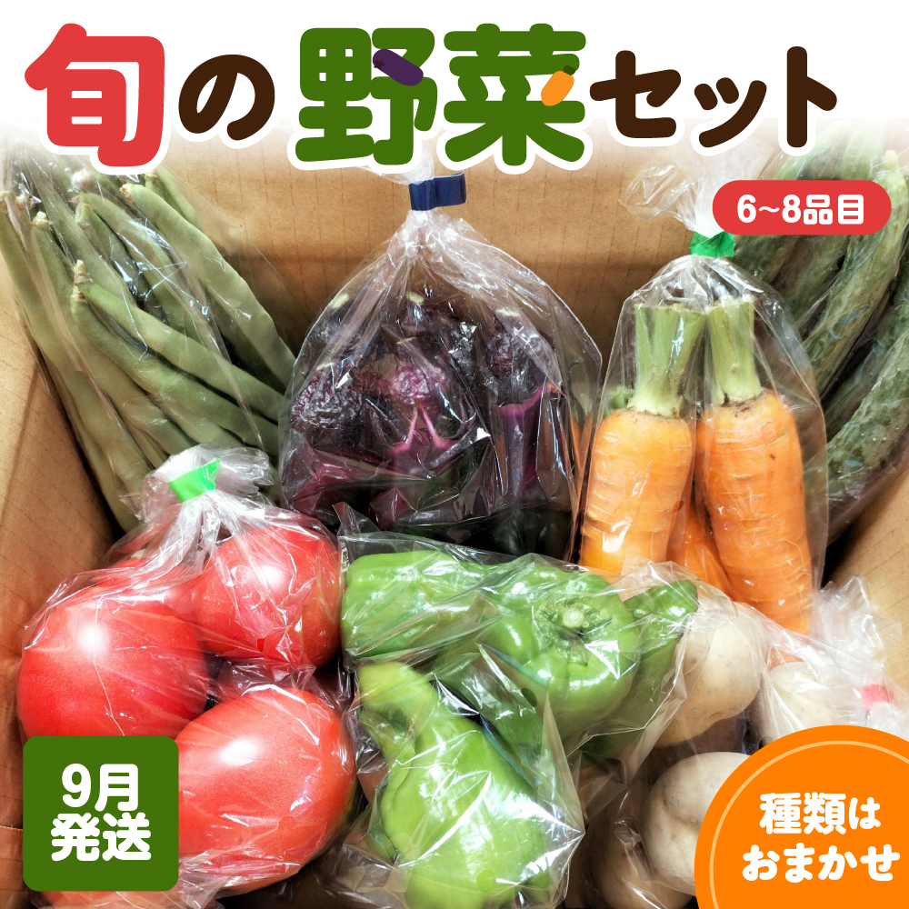 野菜セット 「産直メロス」【2026年9月発送】 旬の野菜詰め合わせ 野菜 詰合せ セット詰め合わせ 国産 旬 おまかせ お楽しみ 直送 詰合 青森 五所川原 6～8品