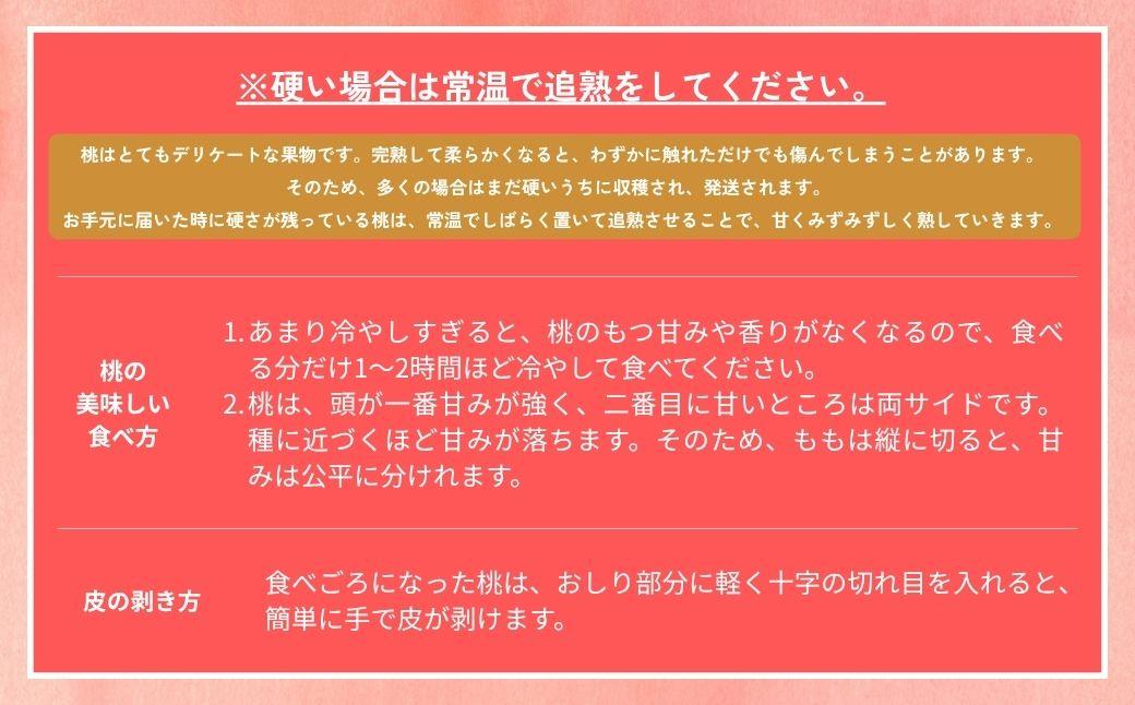 【2026年先行予約】［なんばふぁーむ］岡山県産 黄金桃 1.5kg（4～6玉）[ギフト用]桃 もも モモ おうごんとう フルーツ 果物  朝採り旬 岡山県産 産地直送 産直 送料無料 鏡野町桃 もも