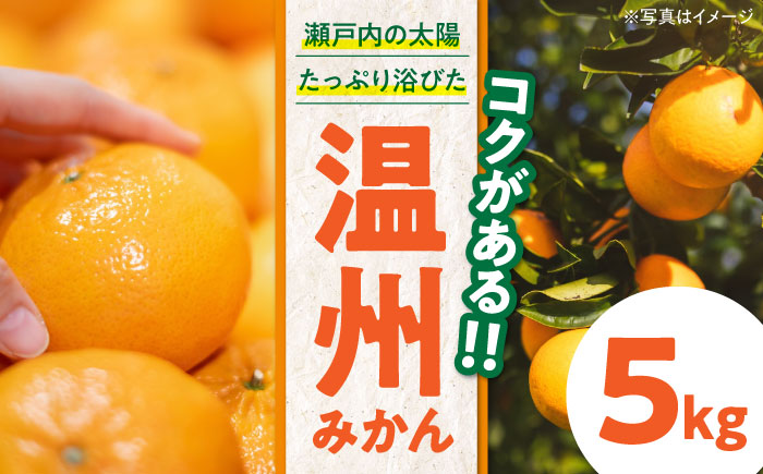 【先行予約】【11月下旬から順次発送】おひさまの光をいっぱい浴びて育ちました！新鮮！温州みかん（南柑20号）　5kg（S〜Lサイズ混合）　愛媛県大洲市/永沼農園 [AGAW001]みかん オレンジ フルーツ ミカン 果物 愛媛みかん みきゃん スムージー デザート おやつ ヨーグルト 調味料 ドレッシング 隠し味 料理